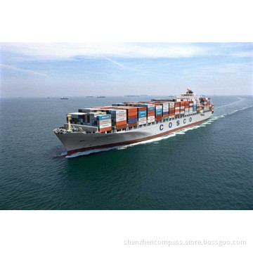 Shipping/Ocean Freight/Sea Freight/International Transportation to San Antonio/Arica/Iquique/Valparaiso Chile
